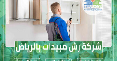 شركة رش مبيدات بالرياض