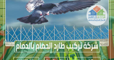 شركة تركيب طارد الحمام بالدمام