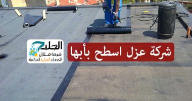 عزل اسطح بابها