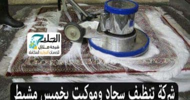 تنظيف سجاد وموكيت بخميس مشيط