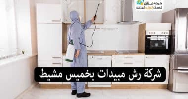 شركة رش مبيدات بخميس مشيط
