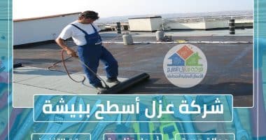 شركة عزل أسطح ببيشة