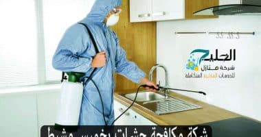 شركة مكافحة حشرت بخميس مشيط
