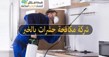 شركة مكافحة حشرات بالخبر