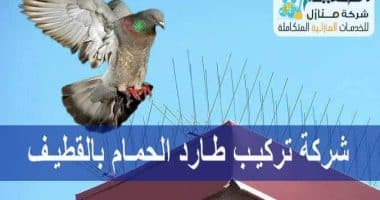 شركة مكافحة الحمام بالقطيف