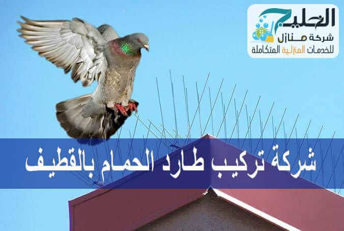 شركة مكافحة الحمام بالقطيف