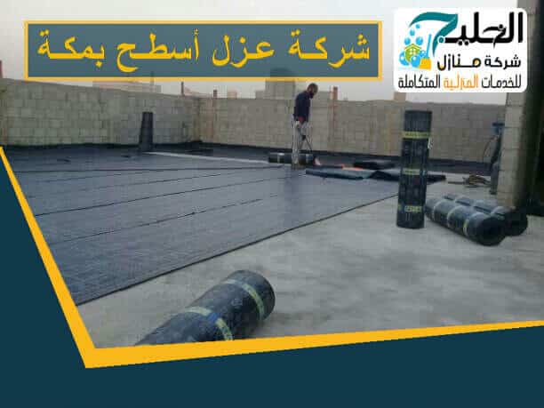 عزل اسطح