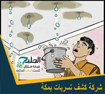 كشف تسربات المياه