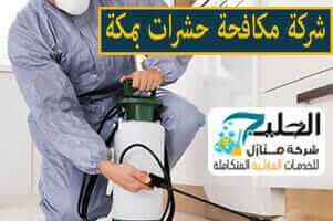 شركة مكافحة حشرات بمكة المكرمة
