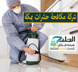 شركة مكافحة حشرات بمكة المكرمة