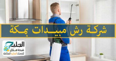 شركة رش مبيد بمكة