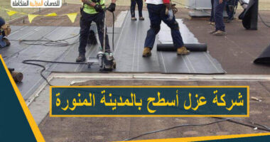 عزل اسطح