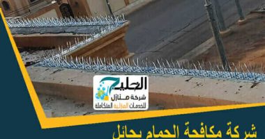 شركة تركيب طارد الحمام بحائل