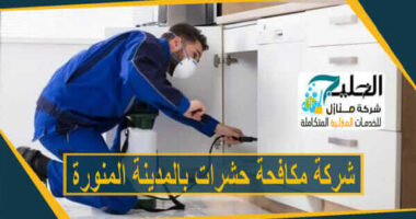 شركة مكافحة حشرات بالمدينة المنورة