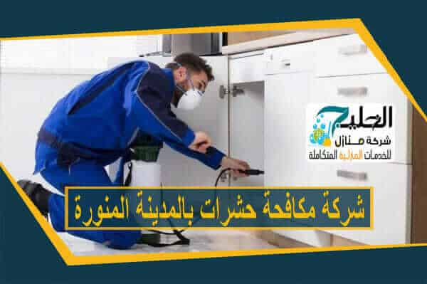 شركة مكافحة حشرات بالمدينة المنورة