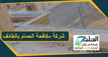 شركة تركيب طارد الحمام بالطائف