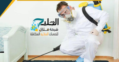 شركة مكافحة حشرات في المزاحمية