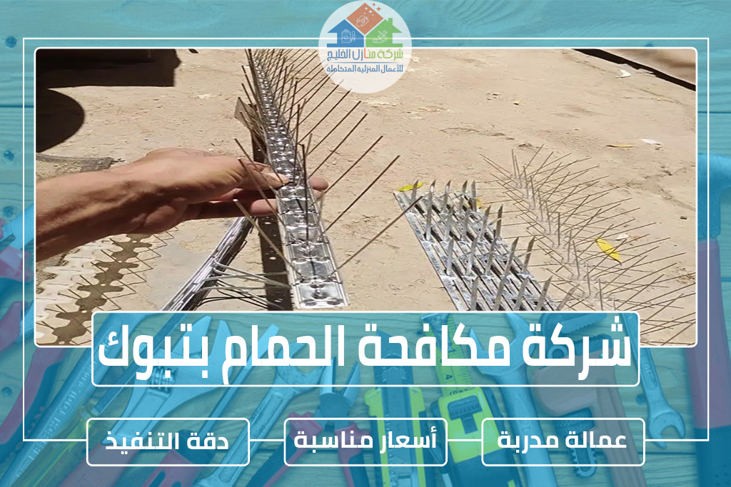 شركة مكافحة الحمام بتبوك
