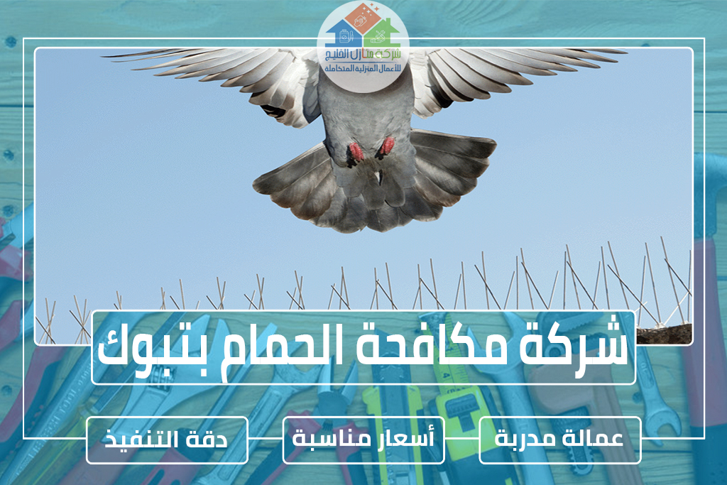 شركة مكافحة الحمام بتبوك