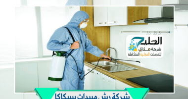 شركة رش مبيدات حشرية بسكاكا