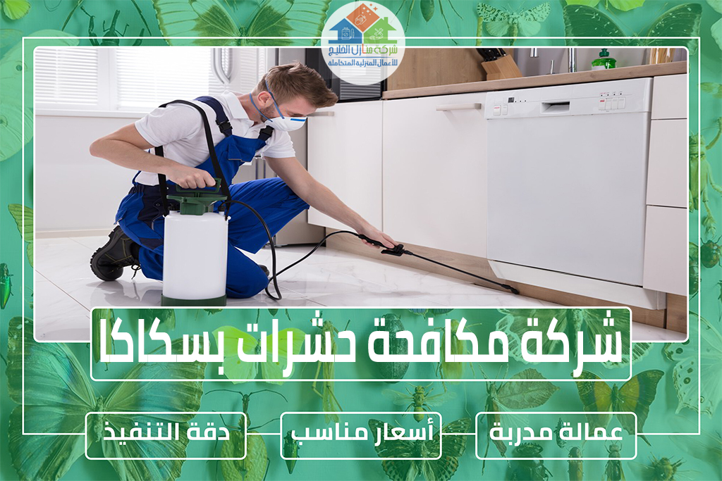 شركة مكافحة حشرات بسكاكا 