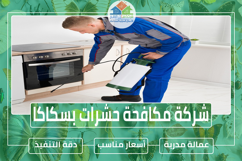 شركة مكافحة حشرات بسكاكا 