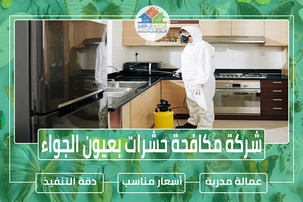 شركة مكافحة حشرات بعيون الجواء