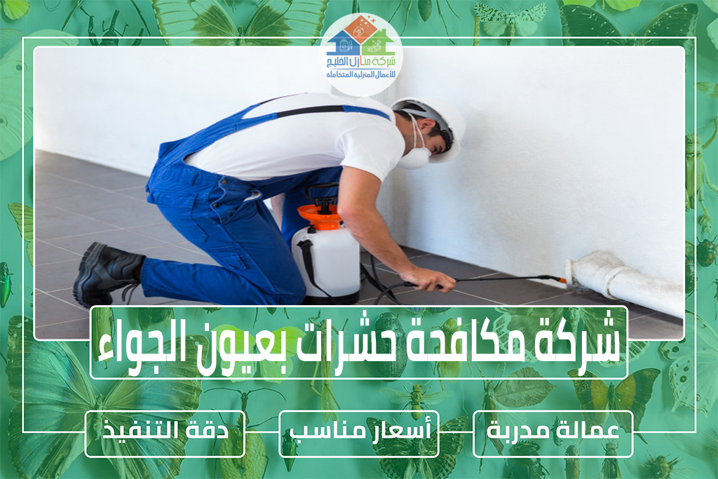 شركة مكافحة حشرات بعيون الجواء