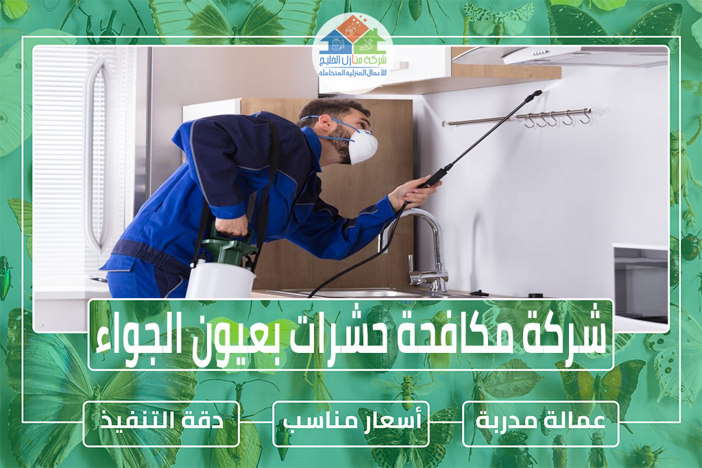 شركة مكافحة حشرات بعيون الجواء