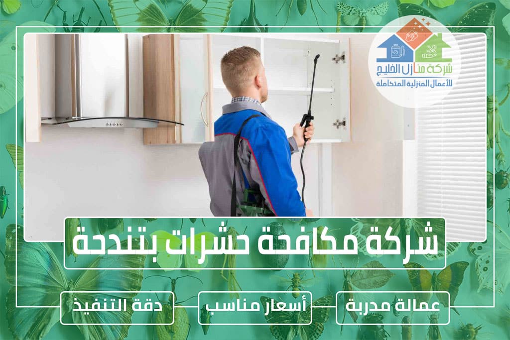 شركة مكافحة حشرات بتندحة