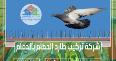 شركة تركيب طارد الحمام بالدمام