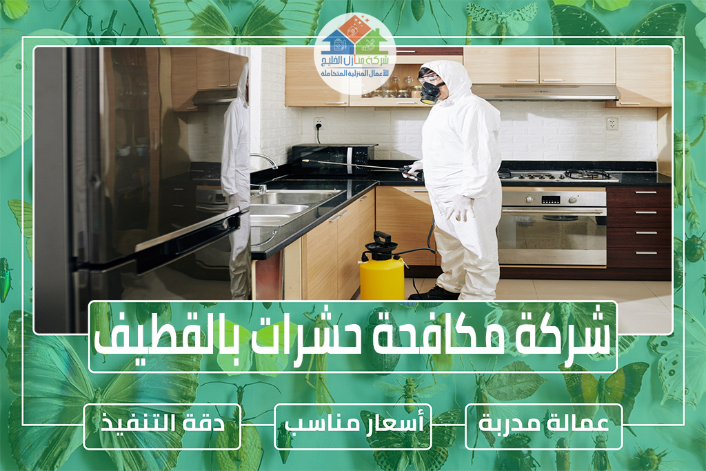 شركة مكافحة حشرات بالقطيف