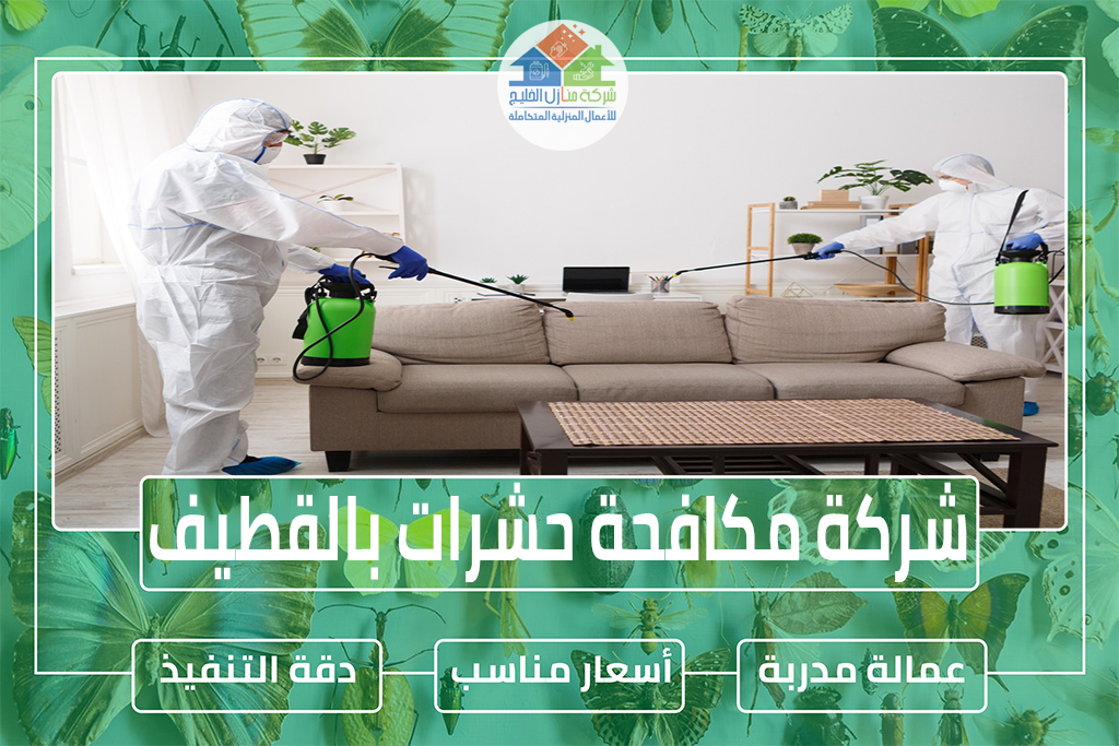 شركة مكافحة حشرات بالقطيف