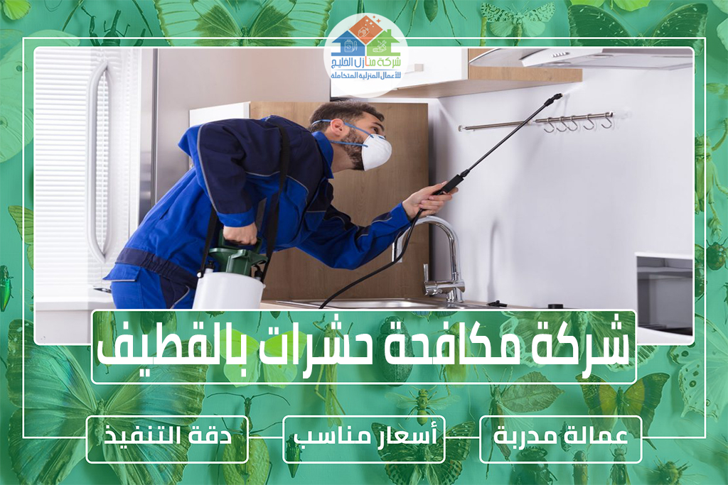 شركة مكافحة حشرات بالقطيف