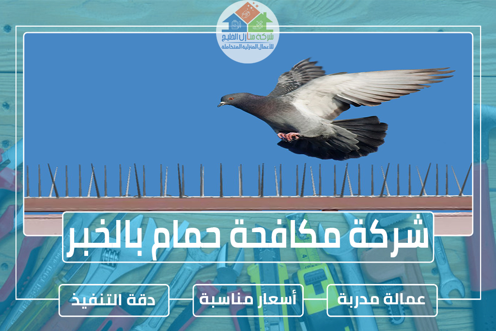 شركة مكافحة حمام بالخبر 