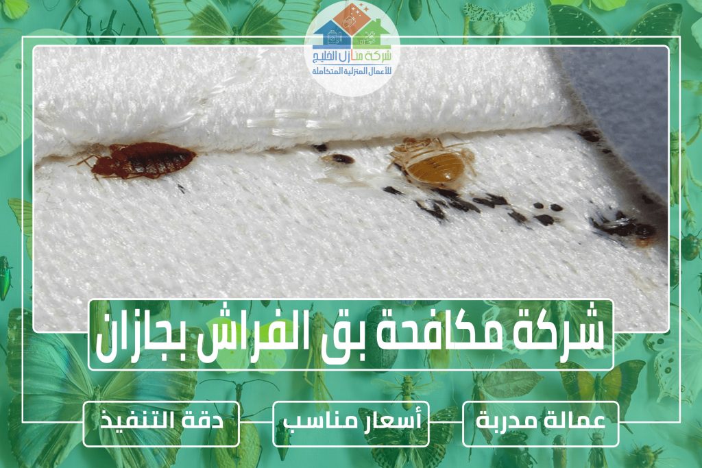 شركة مكافحة بق الفراش بجازان