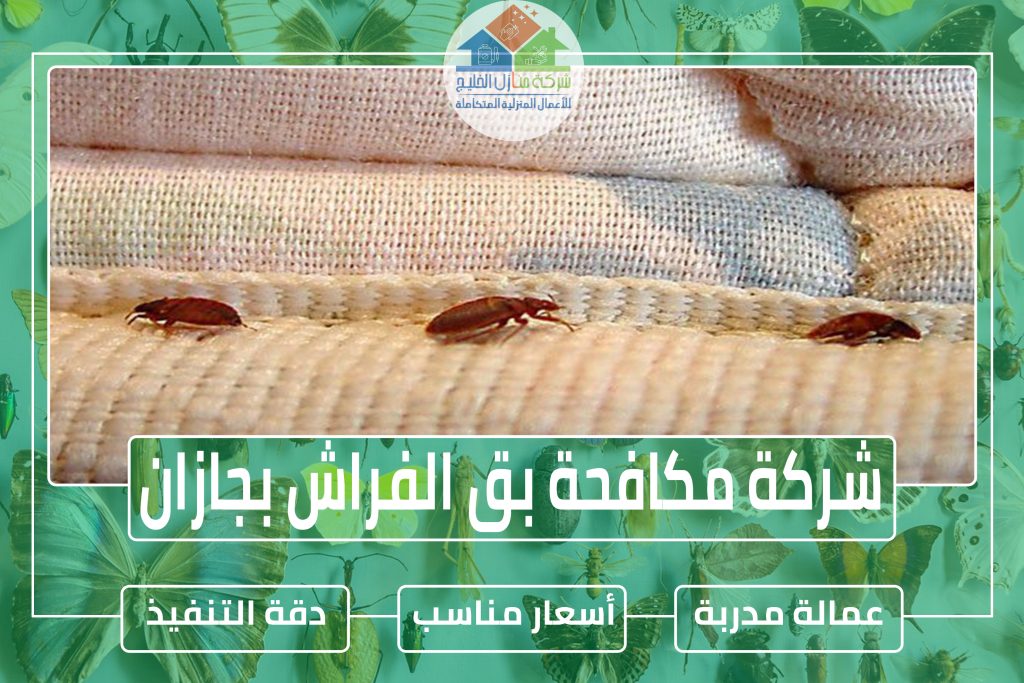 شركة مكافحة بق الفراش بجازان