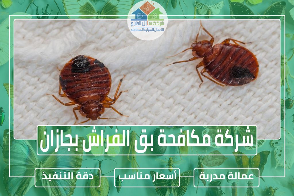 شركة مكافحة بق الفراش بجازان