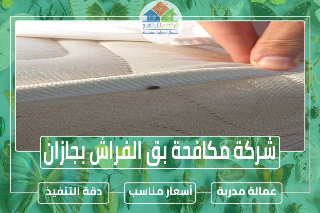 شركة مكافحة بق الفراش بجازان
