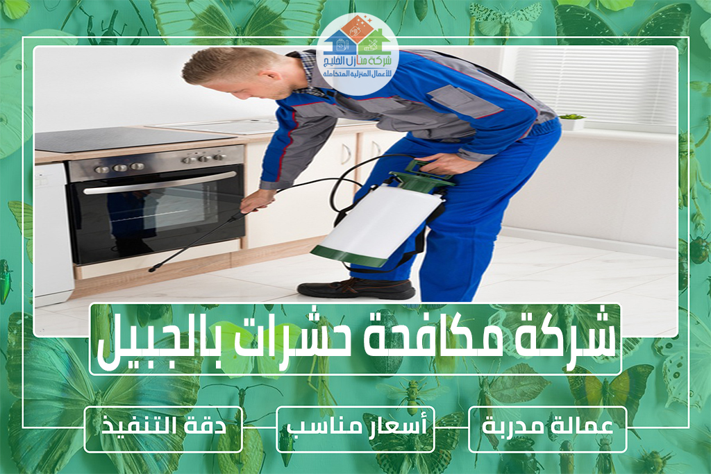 شركة مكافحة حشرات بالجبيل 0551686078 » شركة منازل الخليج