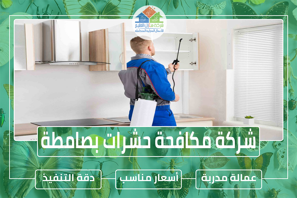 شركة مكافحة حشرات بصامطة 