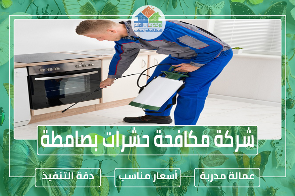 شركة مكافحة حشرات بصامطة 
