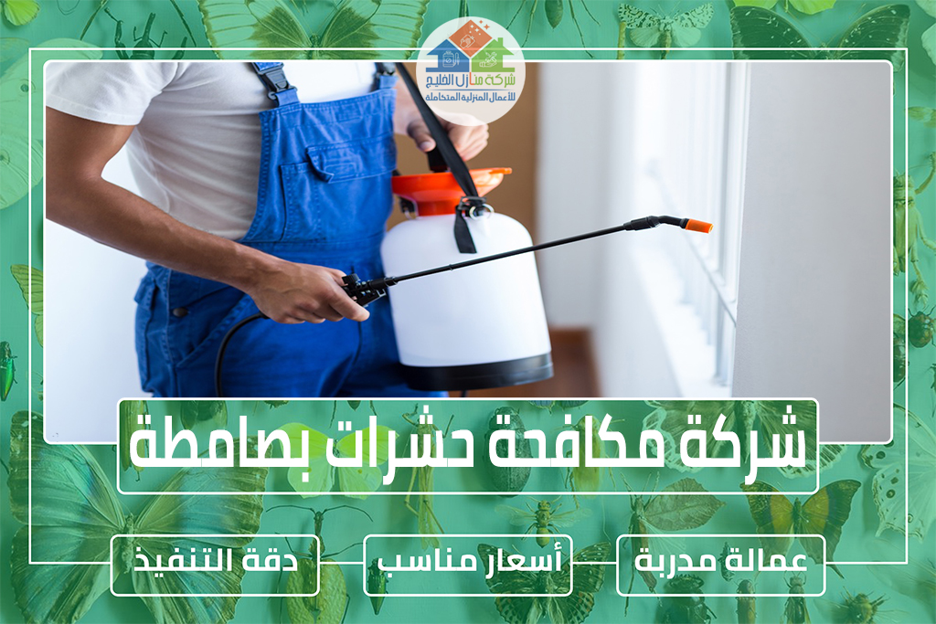شركة مكافحة حشرات بصامطة 