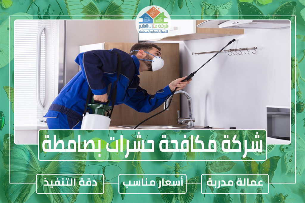شركة مكافحة حشرات بصامطة 