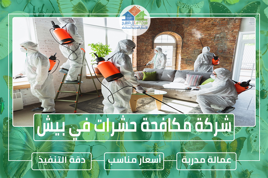 شركة مكافحة حشرات في بيش