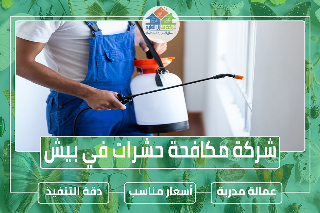 شركة مكافحة حشرات في بيش