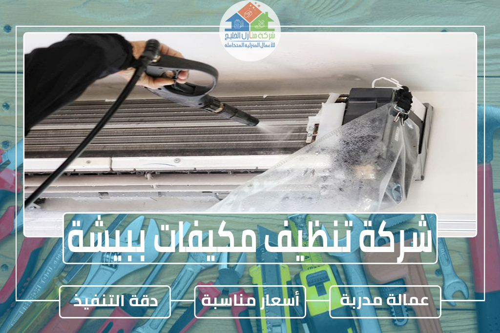 شركة تنظيف مكيفات ببيشة