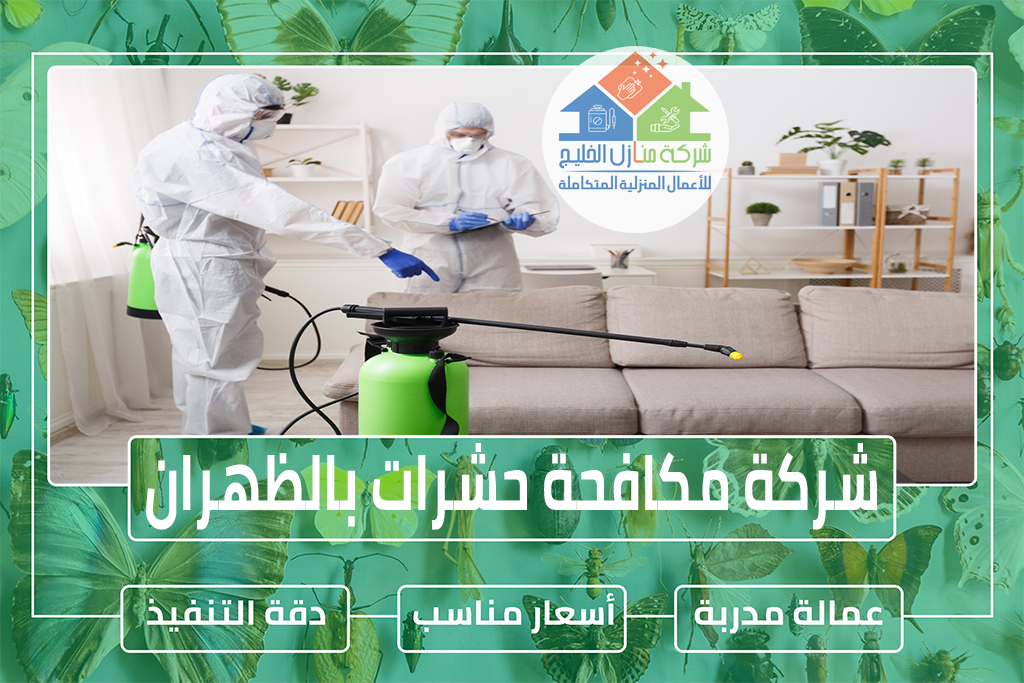 شركة مكافحة حشرات بالظهران