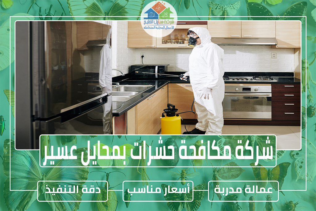 شركة مكافحة حشرات بمحايل عسير