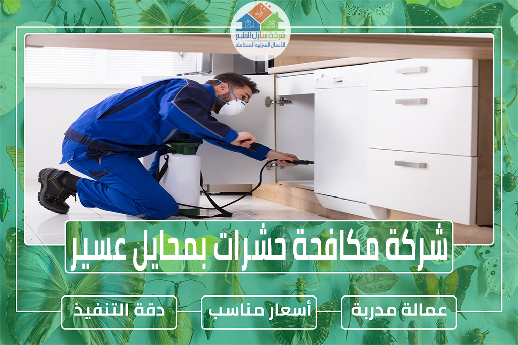 شركة مكافحة حشرات بمحايل عسير
